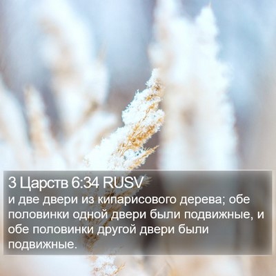 3 Царств 6:34 RUSV Bible Verse Image