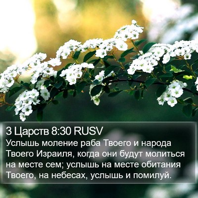 3 Царств 8:30 RUSV Bible Verse Image
