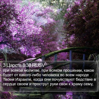 3 Царств 8:38 RUSV Bible Verse Image