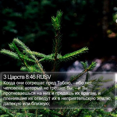 3 Царств 8:46 RUSV Bible Verse Image