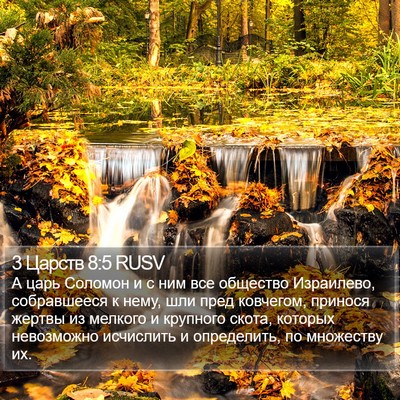 3 Царств 8:5 RUSV Bible Verse Image