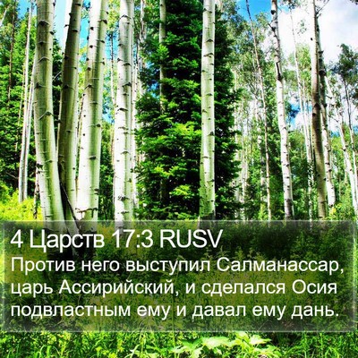 4 Царств 17:3 RUSV Bible Verse Image