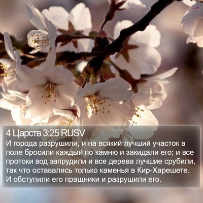 4 Царств 3:25 RUSV Bible Verse Image