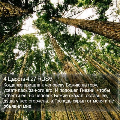 4 Царств 4:27 RUSV Bible Verse Image