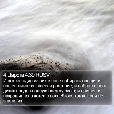 4 Царств 4:39 RUSV Bible Verse Image