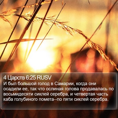 4 Царств 6:25 RUSV Bible Verse Image