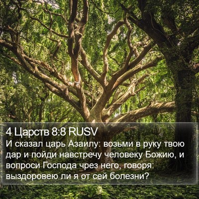 4 Царств 8:8 RUSV Bible Verse Image