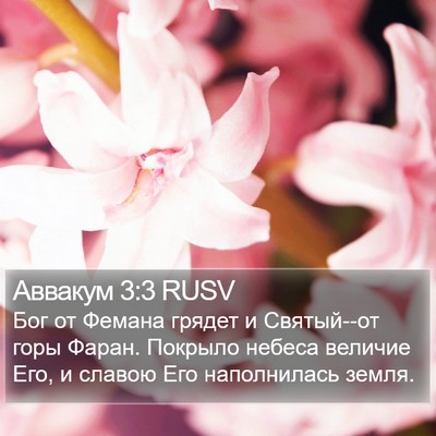 Аввакум 3:3 RUSV Bible Verse Image