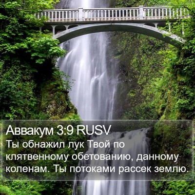 Аввакум 3:9 RUSV Bible Verse Image