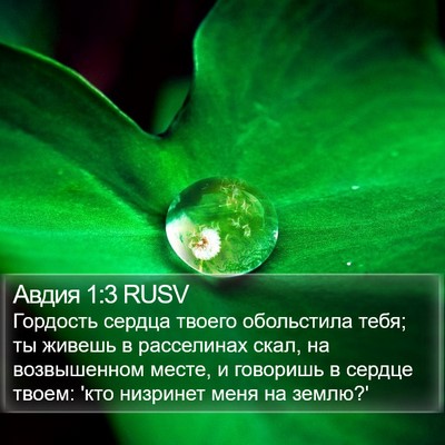 Авдия 1:3 RUSV Bible Verse Image