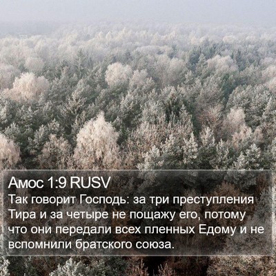 Амос 1:9 RUSV Bible Verse Image