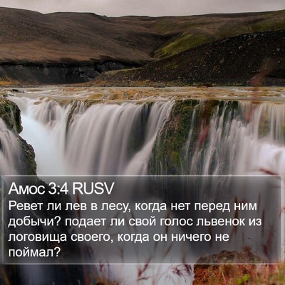 Амос 3:4 RUSV Bible Verse Image