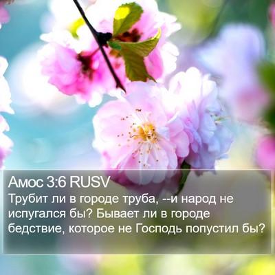 Амос 3:6 RUSV Bible Verse Image