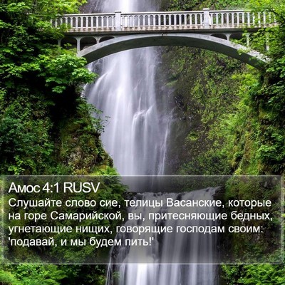 Амос 4:1 RUSV Bible Verse Image