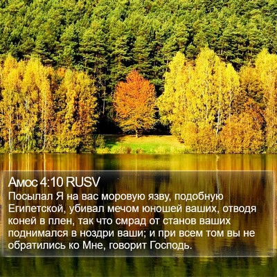 Амос 4:10 RUSV Bible Verse Image