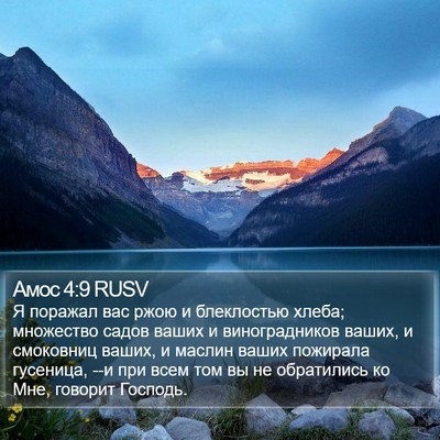 Амос 4:9 RUSV Bible Verse Image