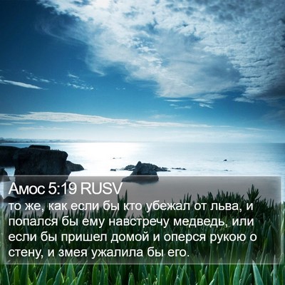 Амос 5:19 RUSV Bible Verse Image