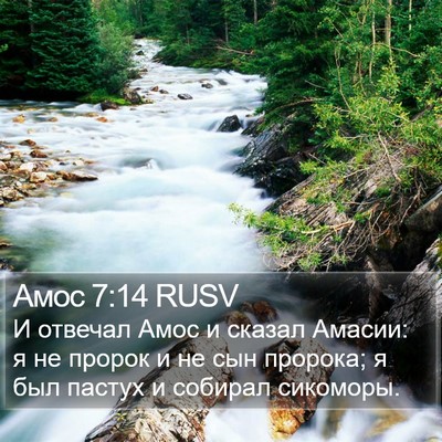 Амос 7:14 RUSV Bible Verse Image