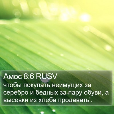 Амос 8:6 RUSV Bible Verse Image