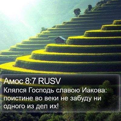 Амос 8:7 RUSV Bible Verse Image