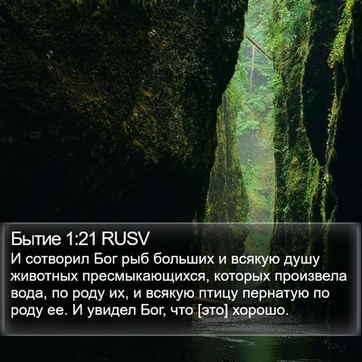 Бытие 1:21 RUSV Bible Verse Image