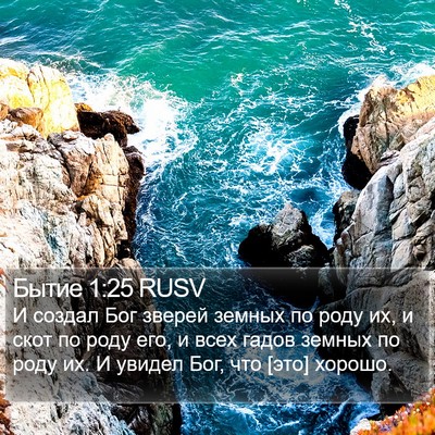 Бытие 1:25 RUSV Bible Verse Image
