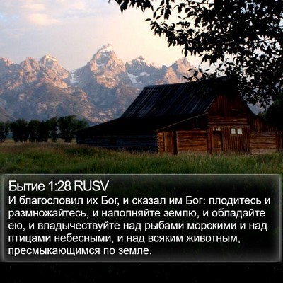 Бытие 1:28 RUSV Bible Verse Image