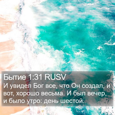 Бытие 1:31 RUSV Bible Verse Image