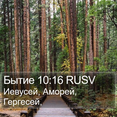 Бытие 10:16 RUSV Bible Verse Image
