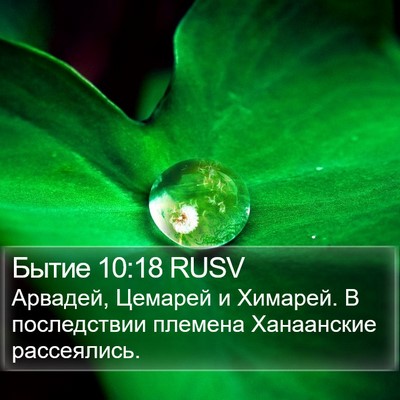Бытие 10:18 RUSV Bible Verse Image