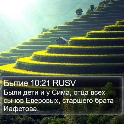 Бытие 10:21 RUSV Bible Verse Image