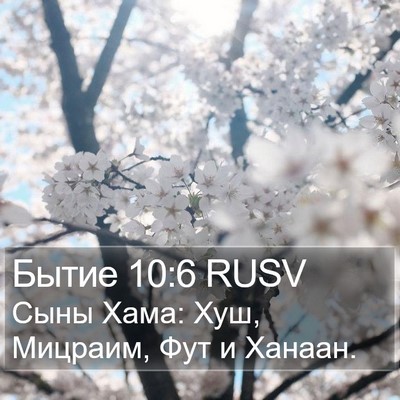 Бытие 10:6 RUSV Bible Verse Image