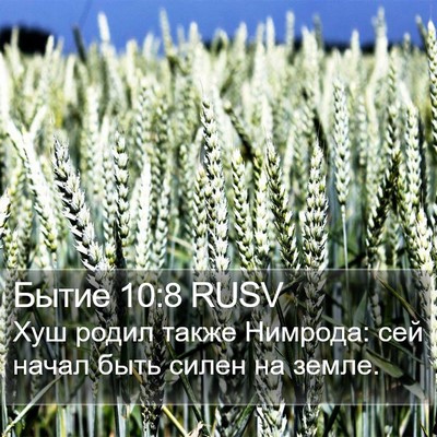 Бытие 10:8 RUSV Bible Verse Image