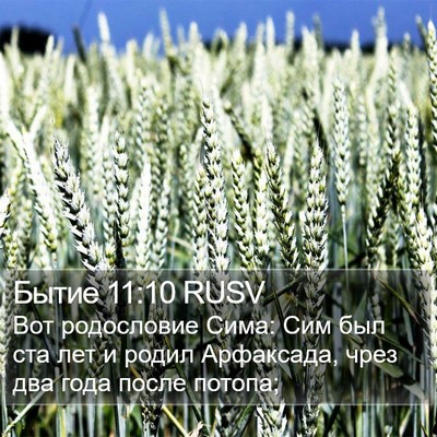 Бытие 11:10 RUSV Bible Verse Image