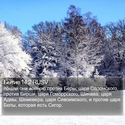 Бытие 14:2 RUSV Bible Verse Image