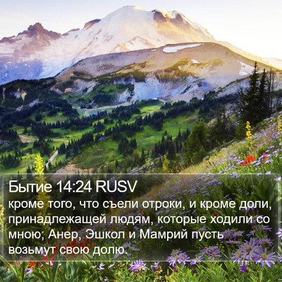 Бытие 14:24 RUSV Bible Verse Image