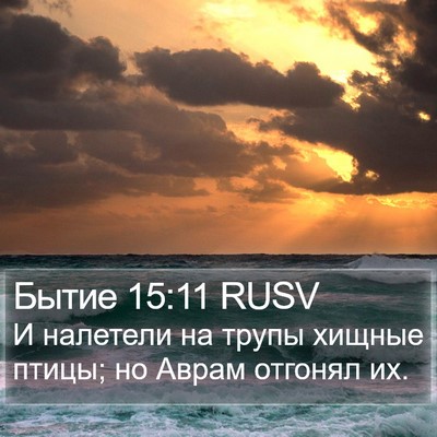 Бытие 15:11 RUSV Bible Verse Image