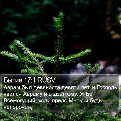 Бытие 17:1 RUSV Bible Verse Image