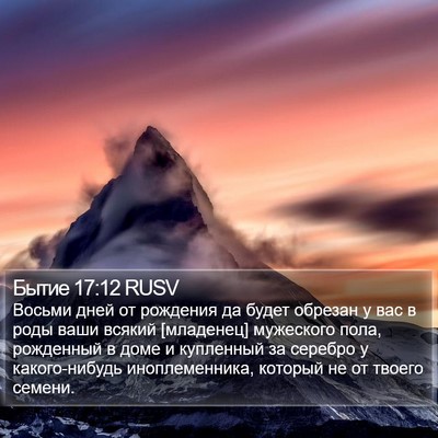 Бытие 17:12 RUSV Bible Verse Image