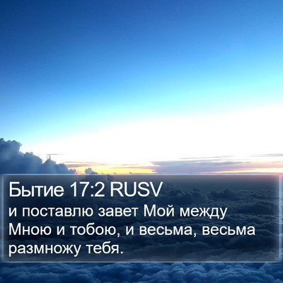 Бытие 17:2 RUSV Bible Verse Image