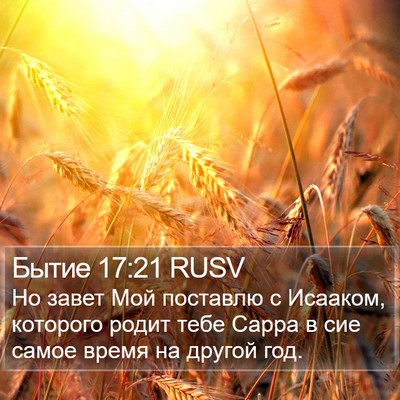 Бытие 17:21 RUSV Bible Verse Image