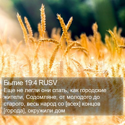 Бытие 19:4 RUSV Bible Verse Image