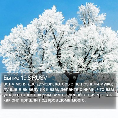 Бытие 19:8 RUSV Bible Verse Image