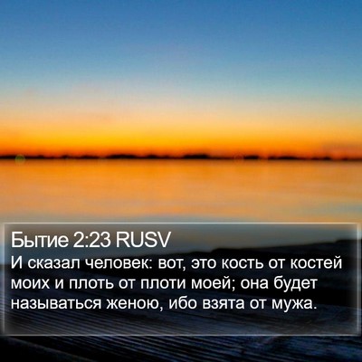Бытие 2:23 RUSV Bible Verse Image