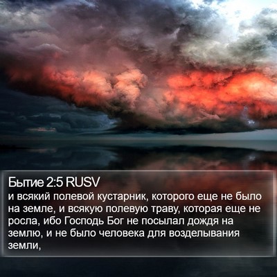Бытие 2:5 RUSV Bible Verse Image