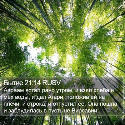Бытие 21:14 RUSV Bible Verse Image