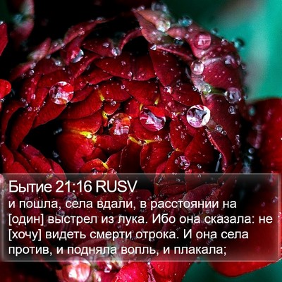 Бытие 21:16 RUSV Bible Verse Image
