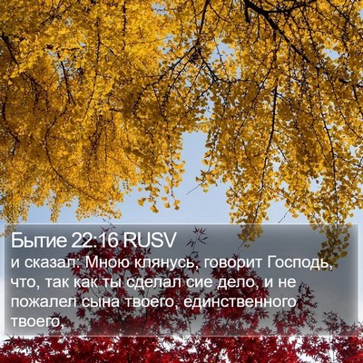 Бытие 22:16 RUSV Bible Verse Image