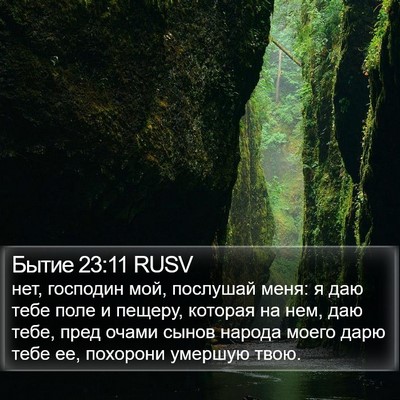 Бытие 23:11 RUSV Bible Verse Image