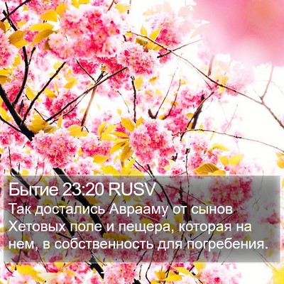Бытие 23:20 RUSV Bible Verse Image